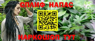 прущие грибы Кулебаки